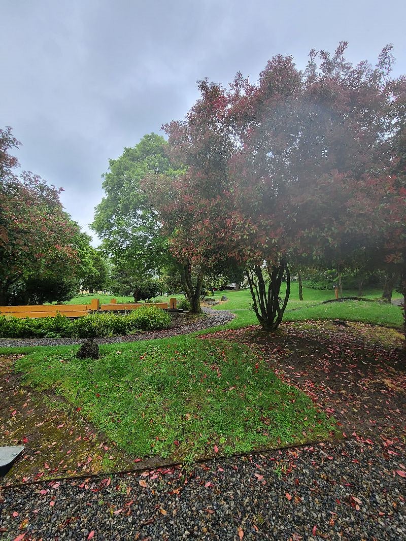 Park by house