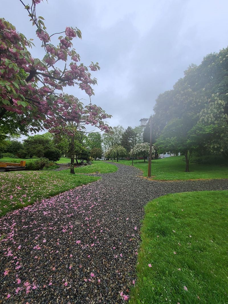 Park in Neighborhood