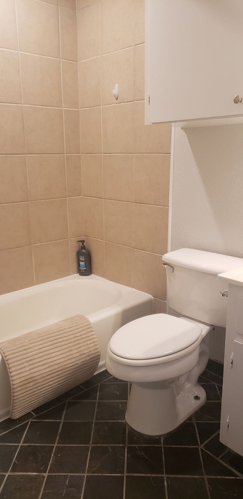 Furnished Finder property 523773_1 photo 20