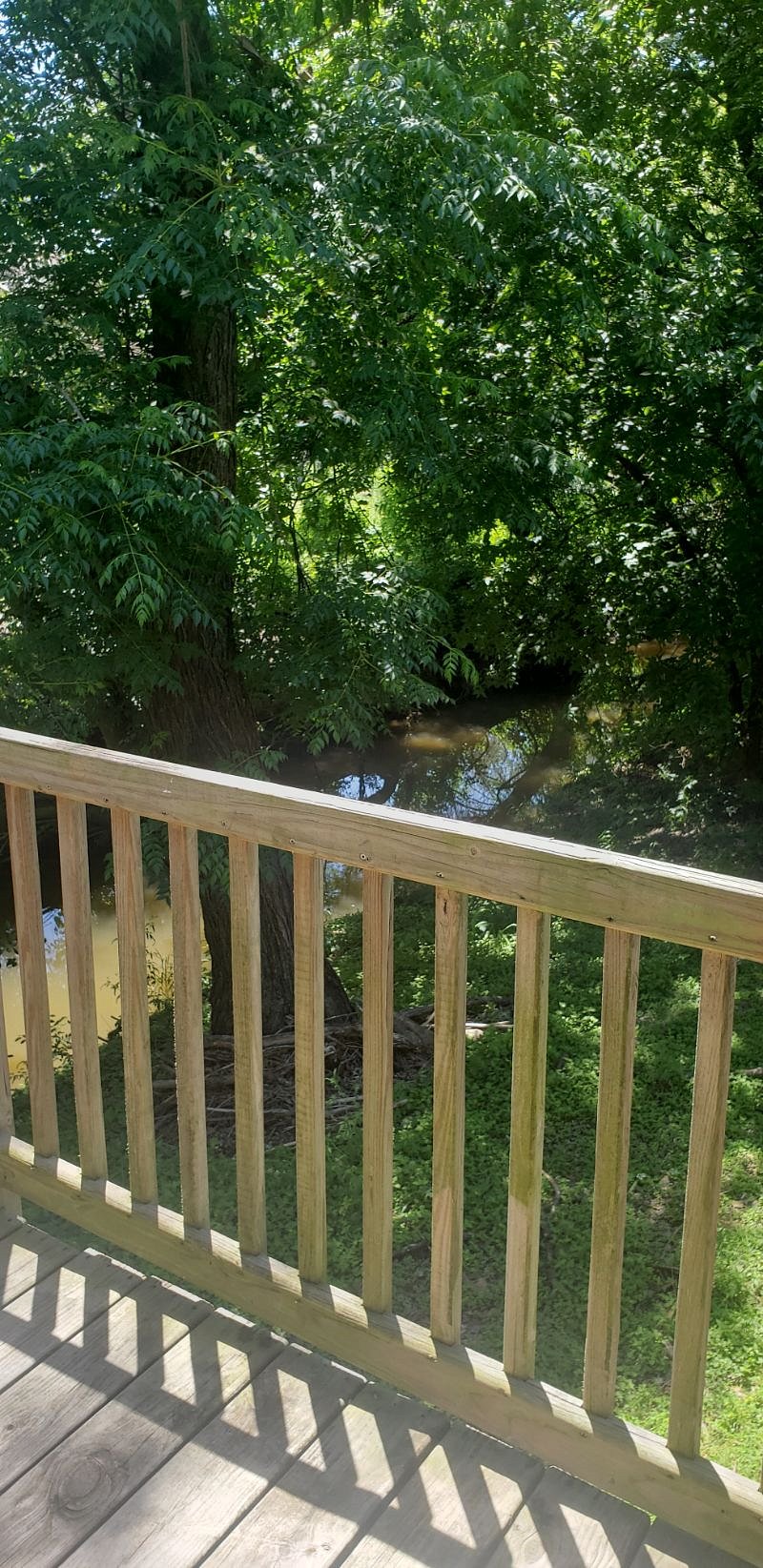 Furnished Finder property 523773_1 photo 29