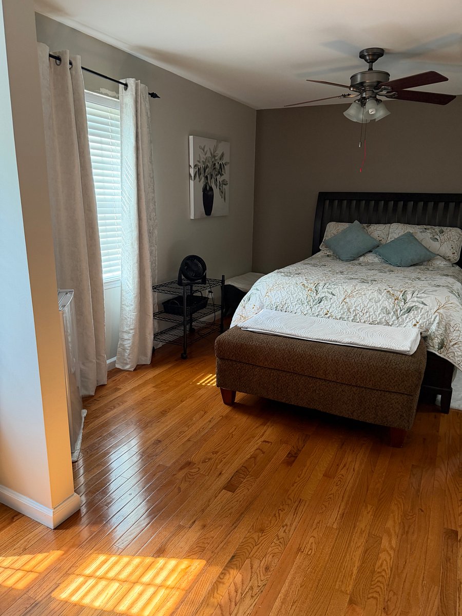 Furnished Finder property 523831_1 photo 6