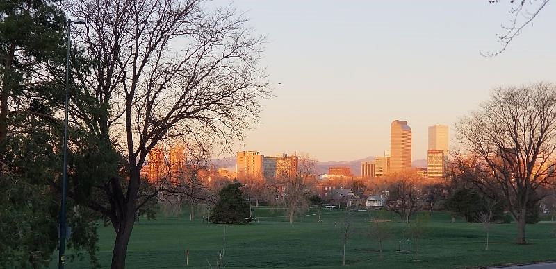 Sunrise, looking across the street through the golf course
