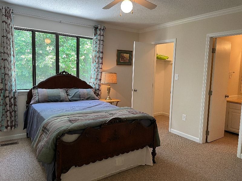 Furnished Finder property 524022_1 photo 12
