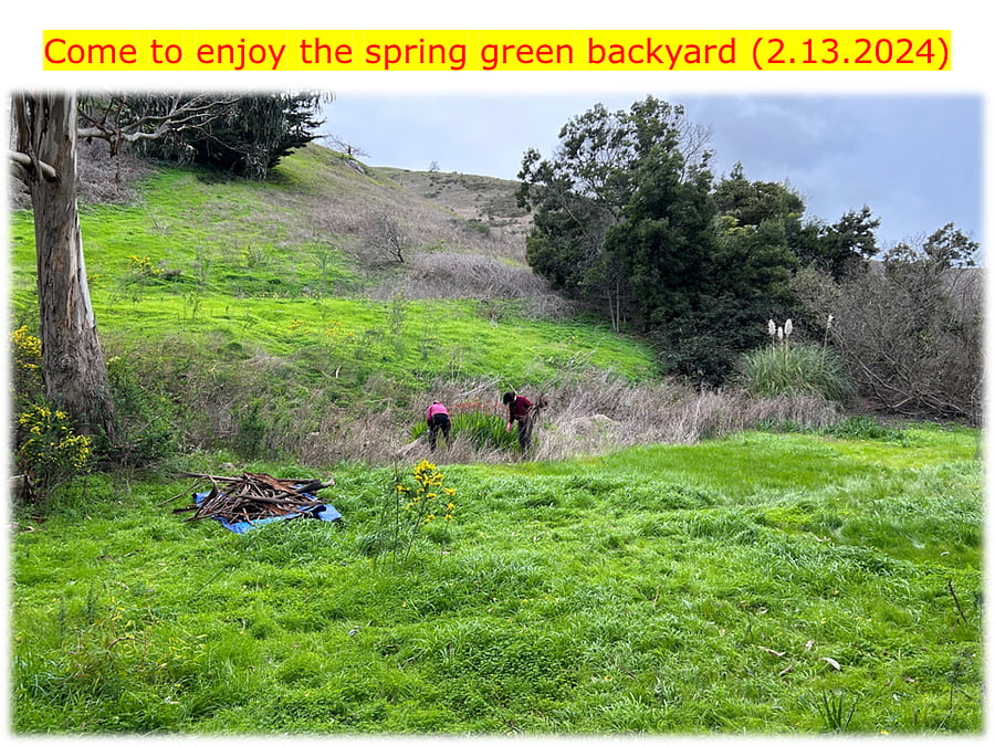 Huge backyard - mix the nature with science 2.13.2024