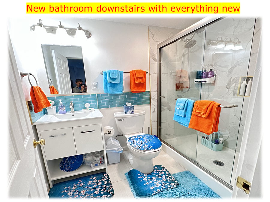 New bathroom downstairs