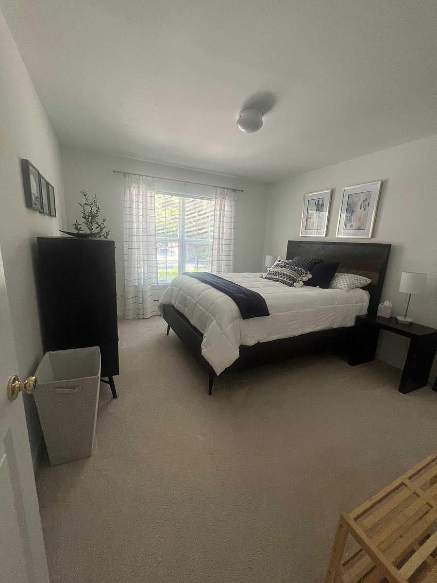 Furnished Finder property 524097_1 photo 14