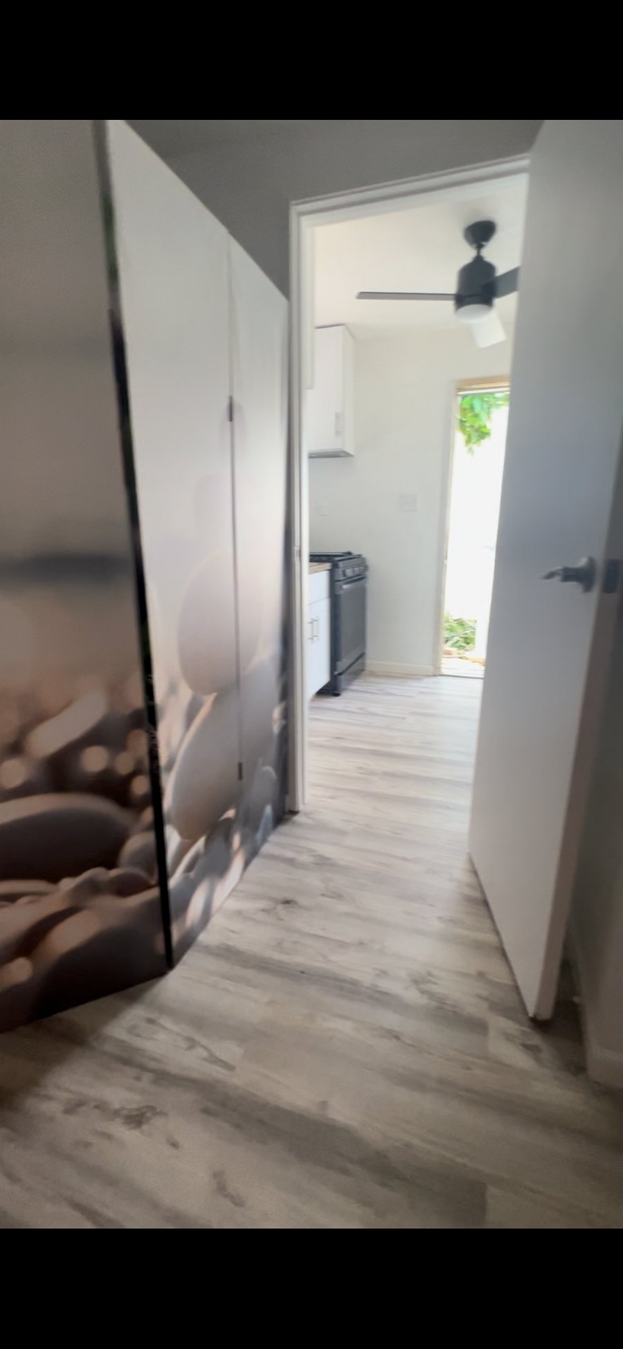 Long view from inside to front door enrtry