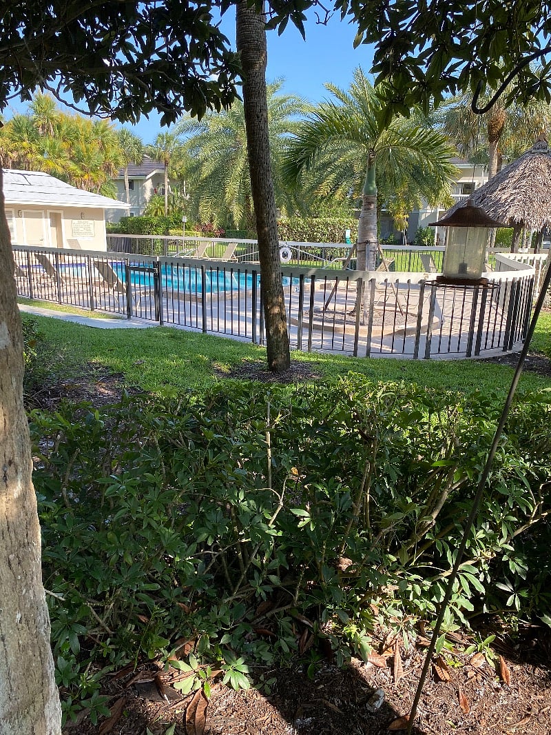 Furnished Finder property 524624_1 photo 5