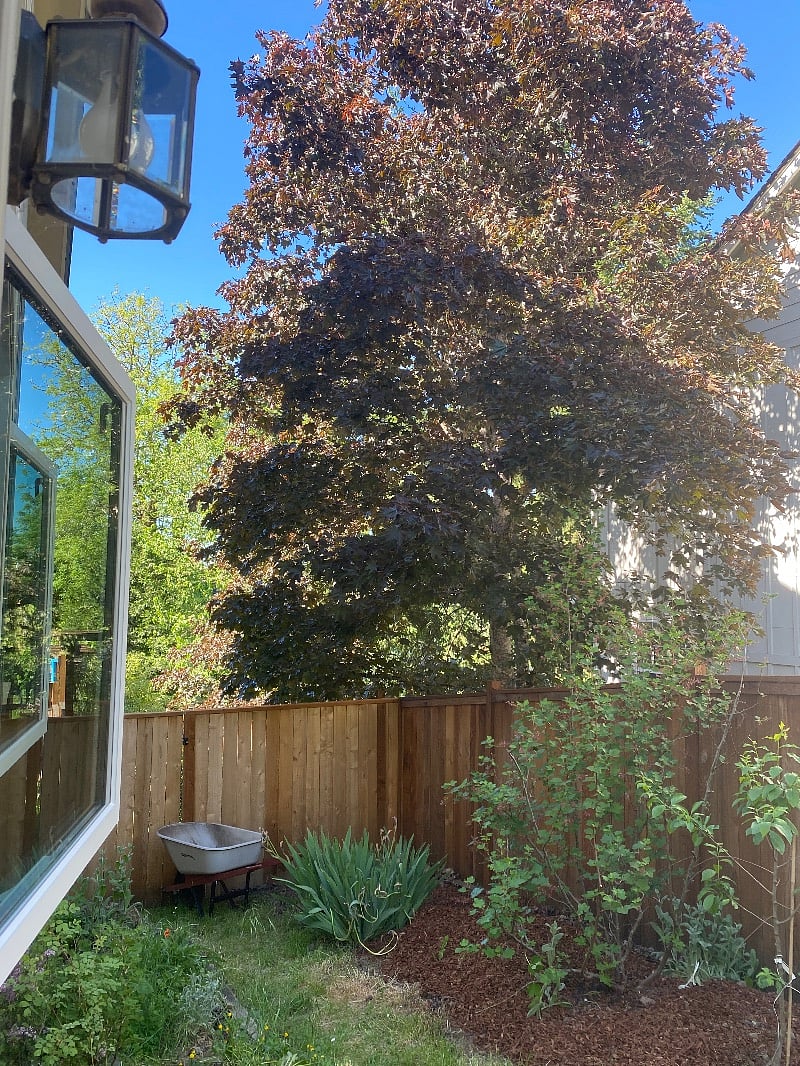 Furnished Finder property 524635_1 photo 14