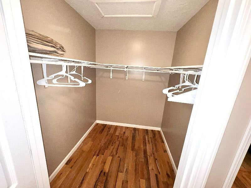 Furnished Finder property 524885_1 photo 11