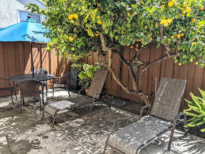 Furnished Finder property 524995_1 photo 19