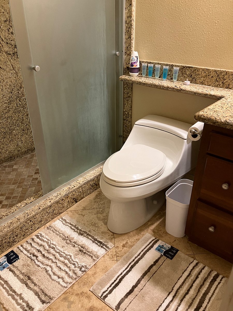 Furnished Finder property 525006_2 photo 13