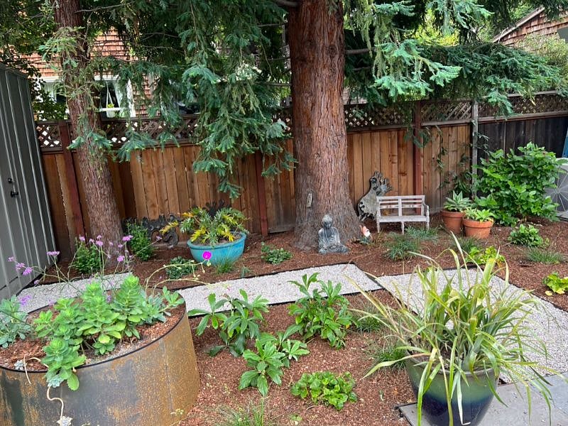 Back garden private to Cottage