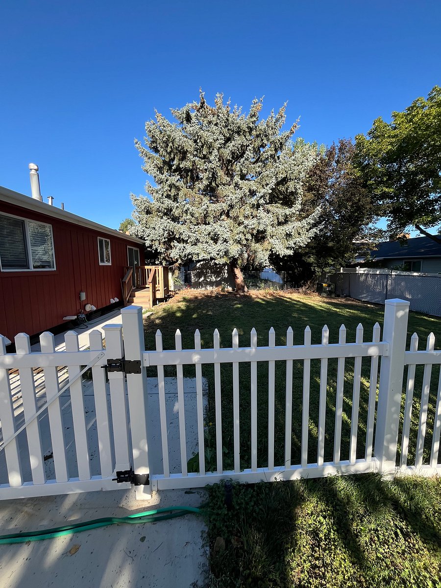 Furnished Finder property 525131_1 photo 16