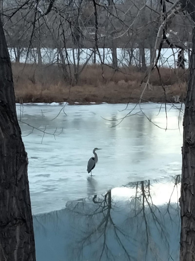 Birdwatching paradise