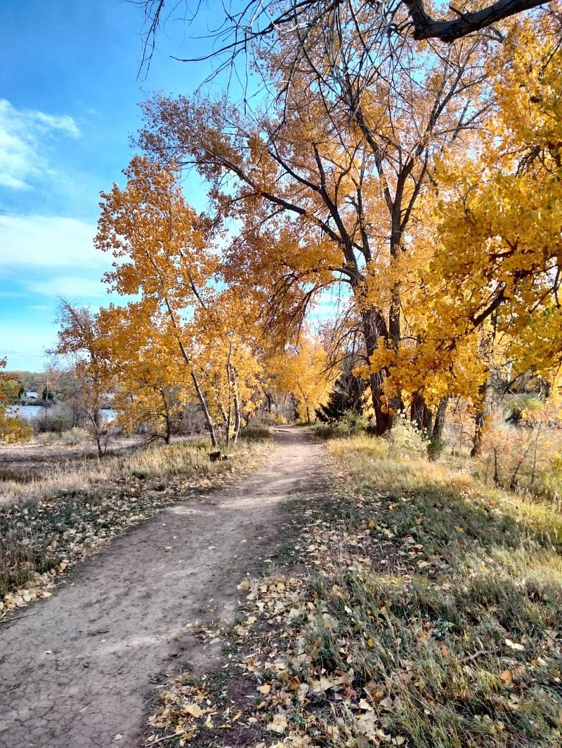 Beautiful hiking paths