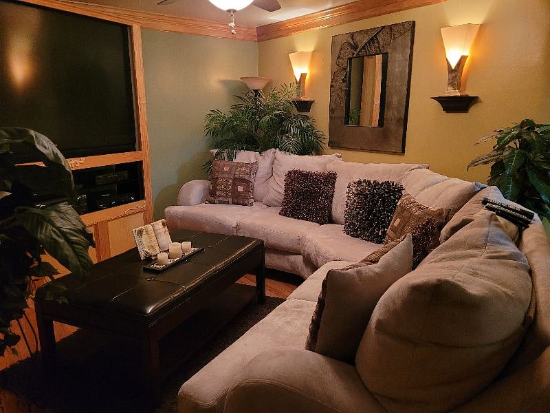 Furnished Finder property 525641_3 photo 12
