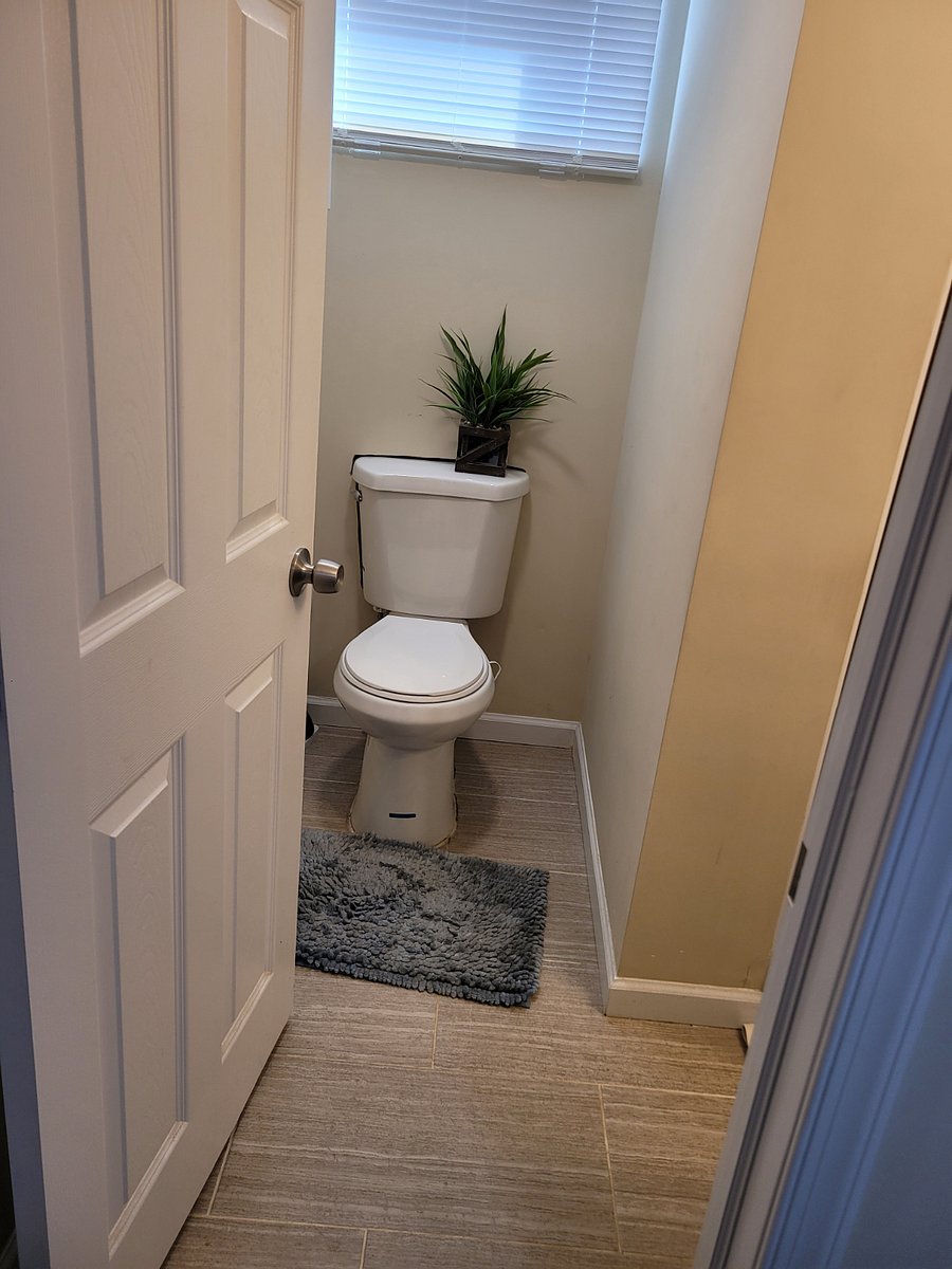 Furnished Finder property 525807_1 photo 20
