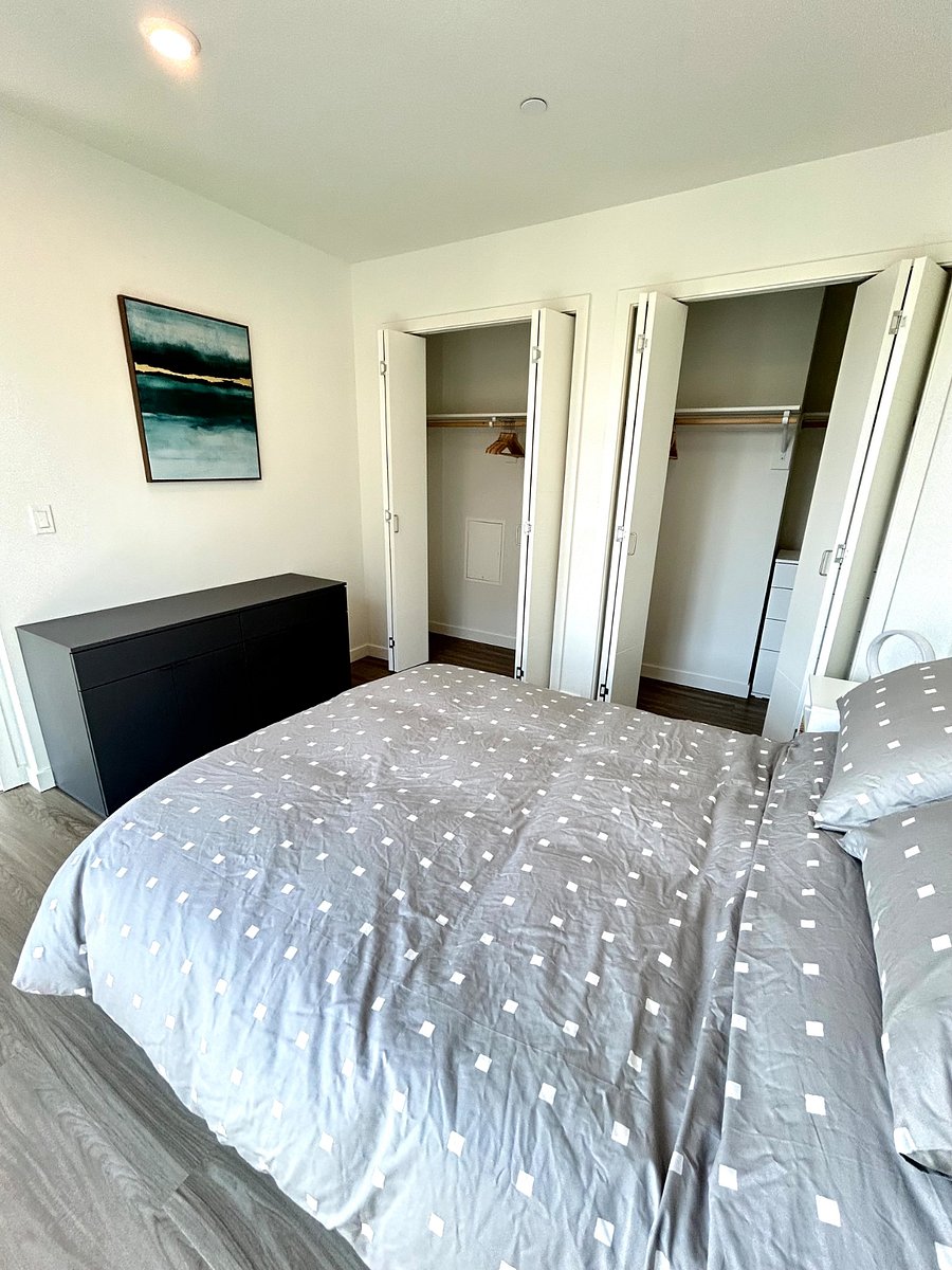 Furnished Finder property 525830_3 photo 11