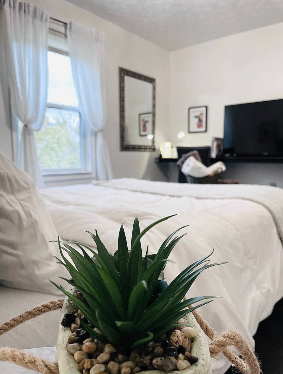 Furnished Finder property 526148_1 photo 9