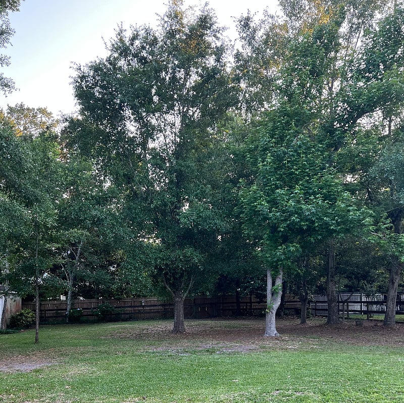 Furnished Finder property 526196_1 photo 14
