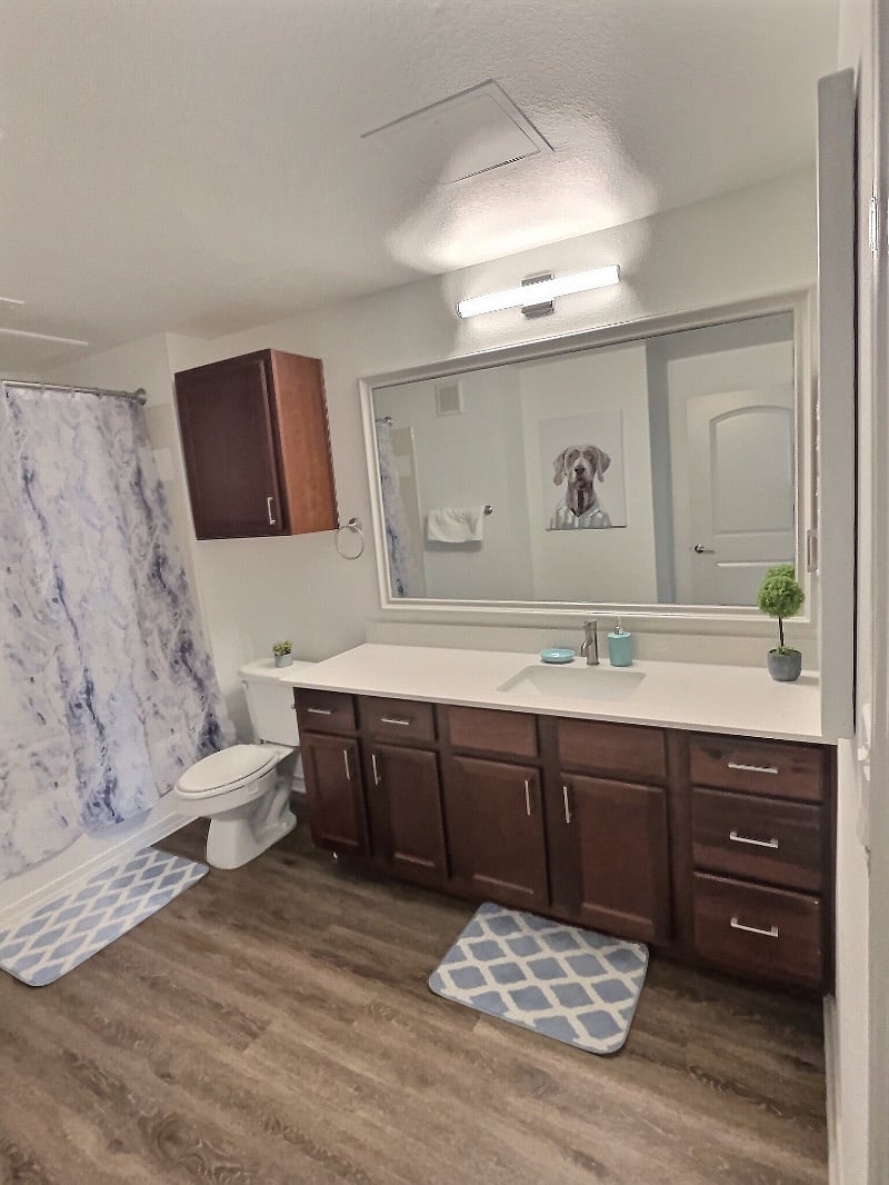 Furnished Finder property 526345_1 photo 9