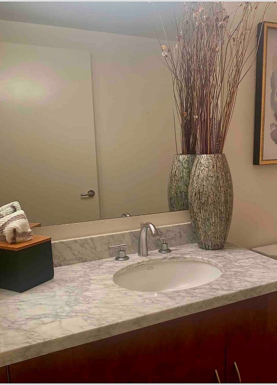 Bathroom off of the second bedroom/den.