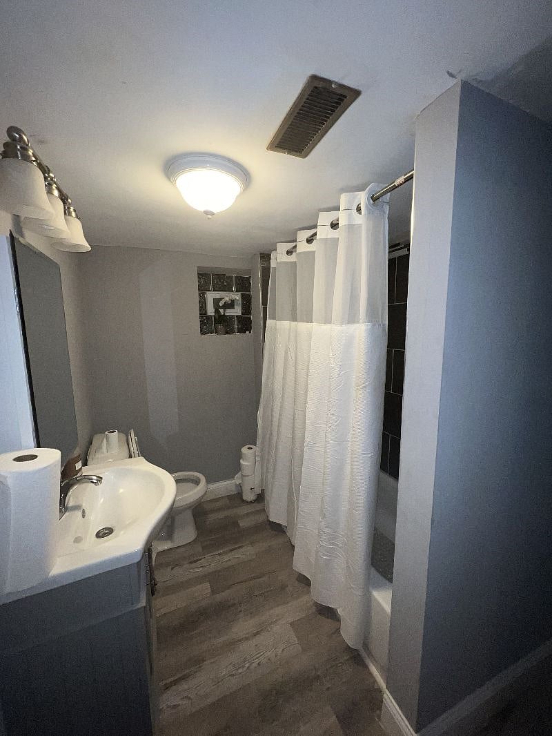 Lower Level Bathroom
