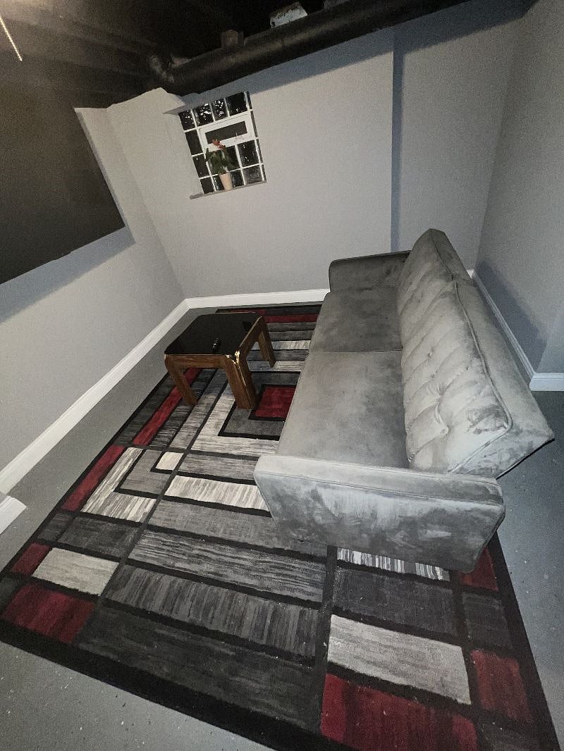 Lower-Level Living Room