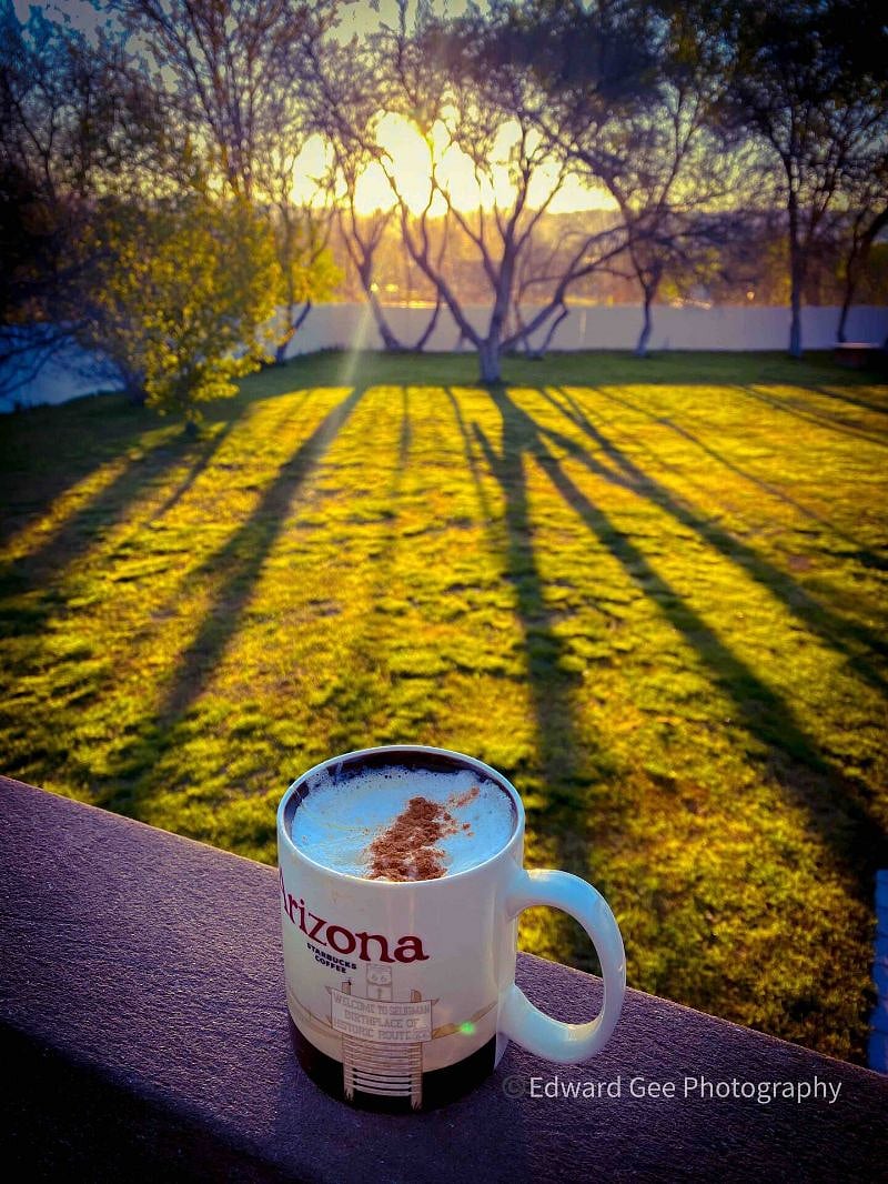 Morning coffee in the serene backyard