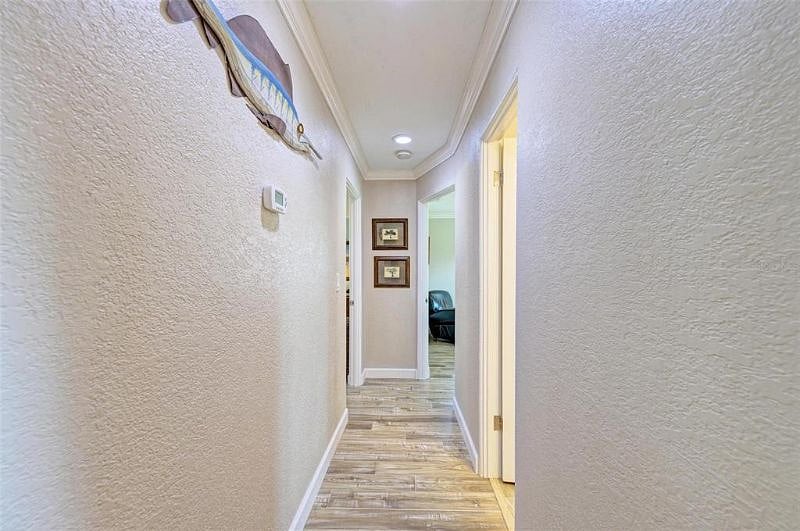 Furnished Finder property 526939_1 photo 13