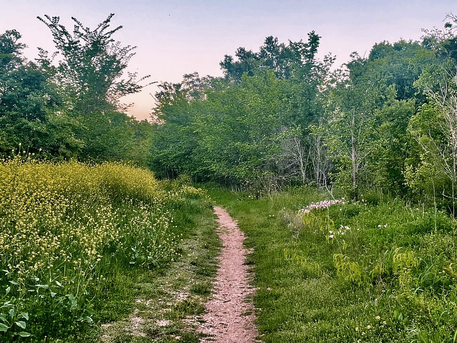 Little Walnut Creek Trailhead right across the street. Lush in the spring and summer.