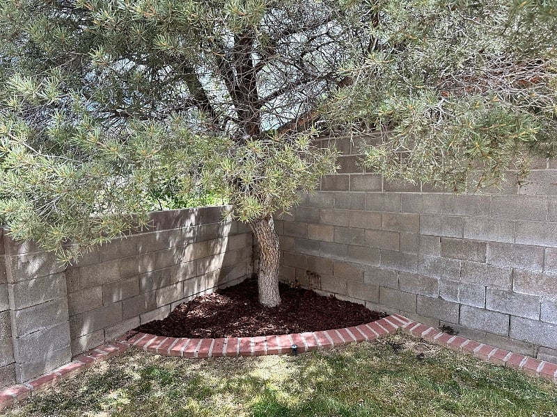 Furnished Finder property 527142_1 photo 4