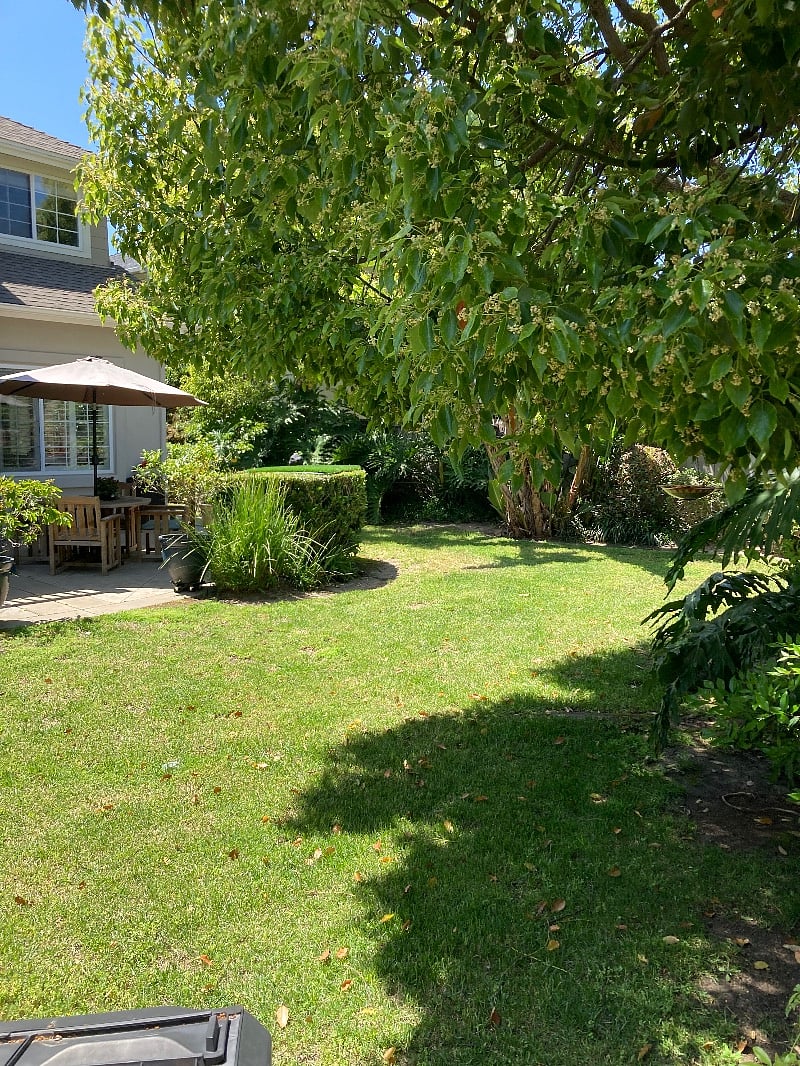 Furnished Finder property 527149_1 photo 10