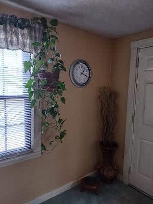 Furnished Finder property 527367_1 photo 23