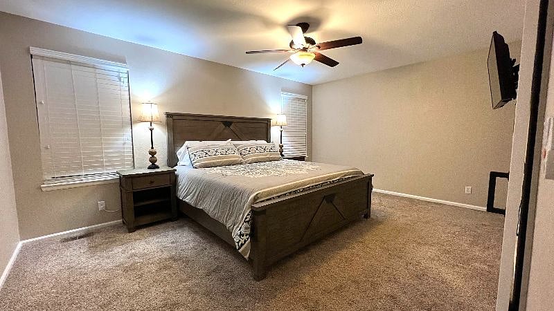 Master Bedroom with King bed