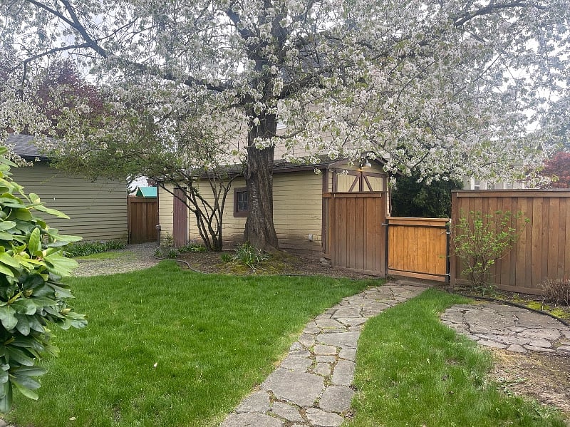 Backyard
