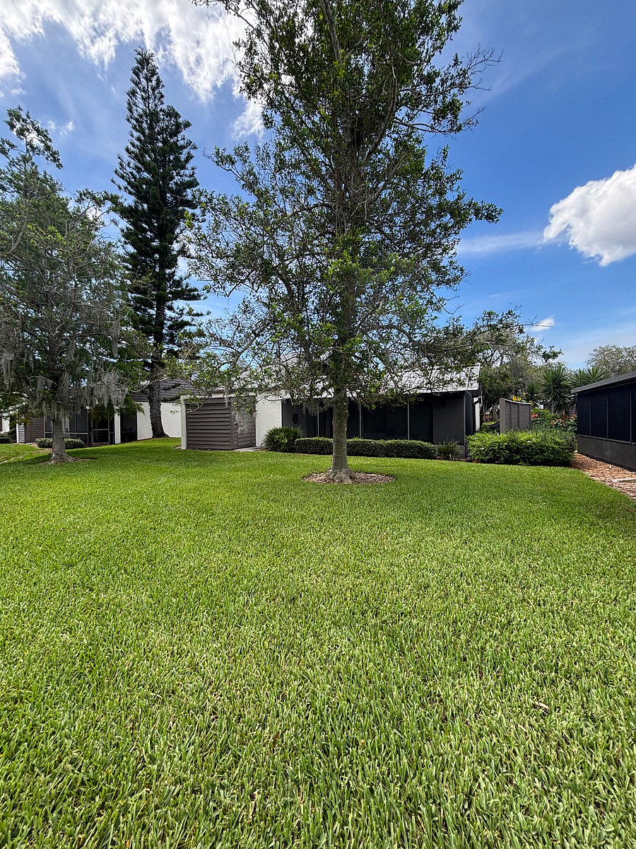 Furnished Finder property 527693_1 photo 3