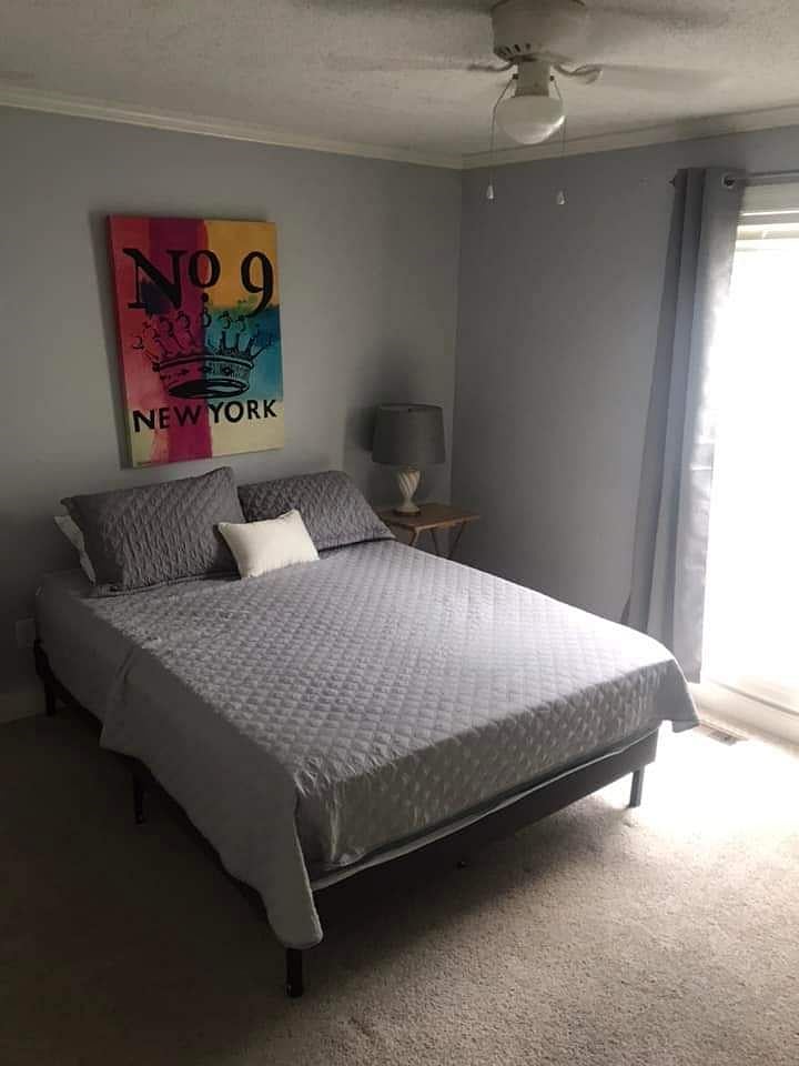 Furnished Finder property 527873_1 photo 9