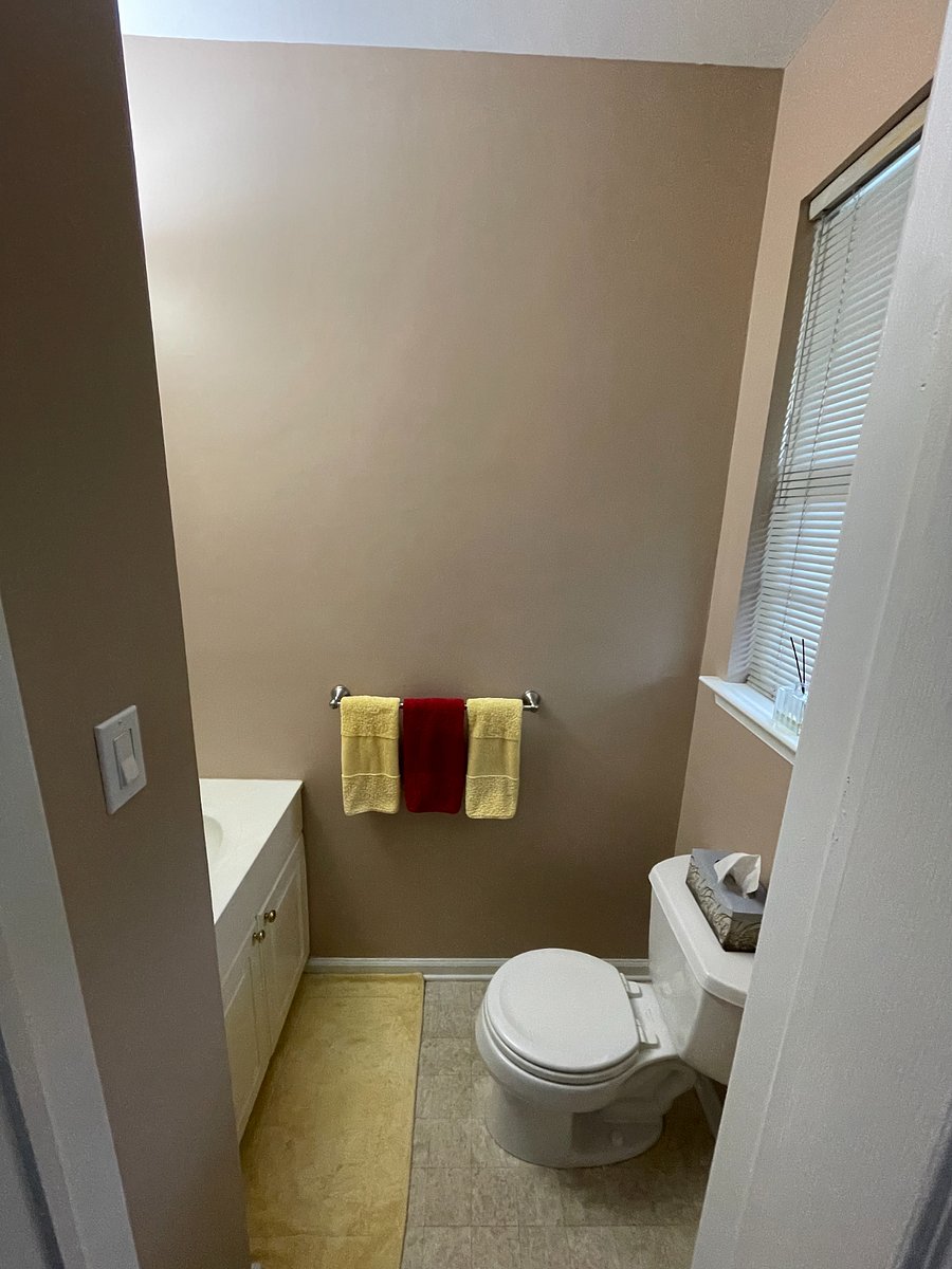 Furnished Finder property 528344_1 photo 12