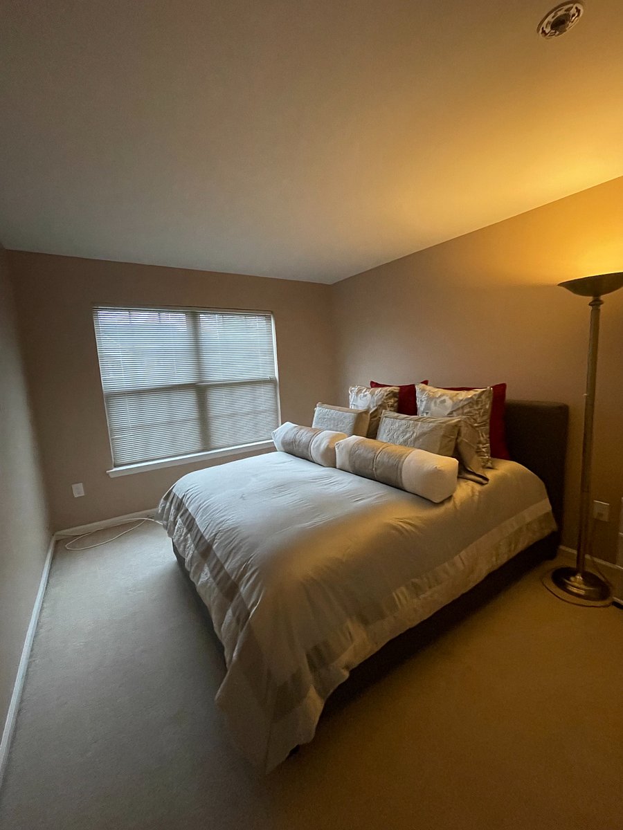 Furnished Finder property 528344_1 photo 7