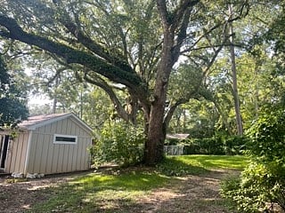 fenced-in back yard