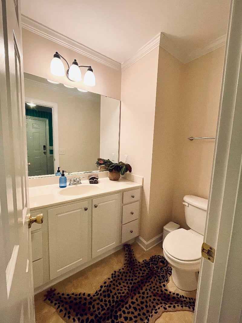 Furnished Finder property 528802_1 photo 15