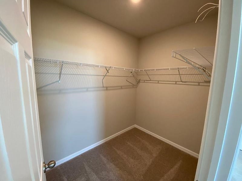 Furnished Finder property 528867_1 photo 21
