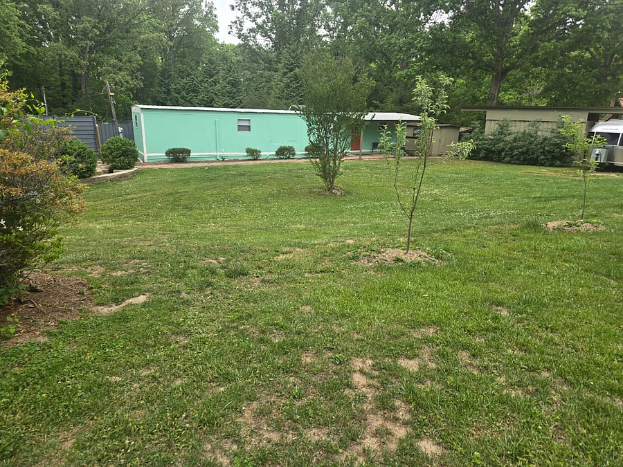 Furnished Finder property 528871_1 photo 23