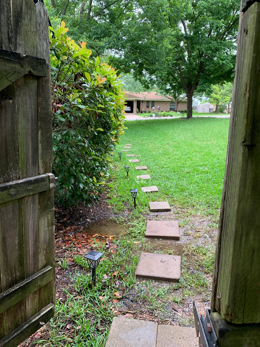 Your lighted path