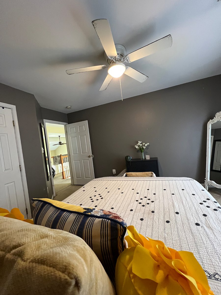 Furnished Finder property 529070_1 photo 7