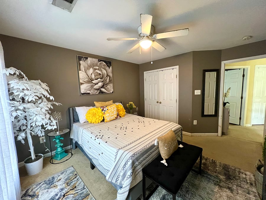 Furnished Finder property 529070_1 photo 6