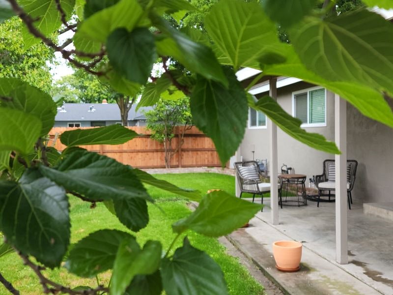 Furnished Finder property 529111_1 photo 17