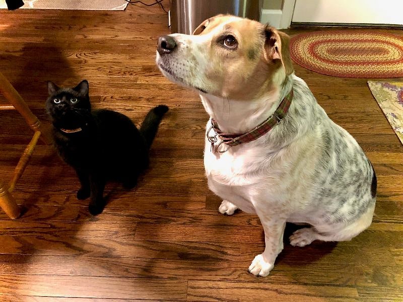 Roommates; Zeus & Enrique